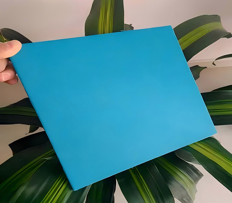 মাংসখণ্ডের -1